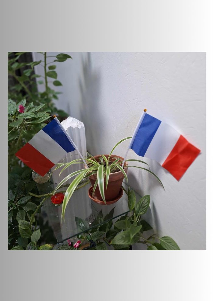 Pack Drapeaux France 1 Grand Format + 2 Mini Drapeaux à Main - photo numéro 9