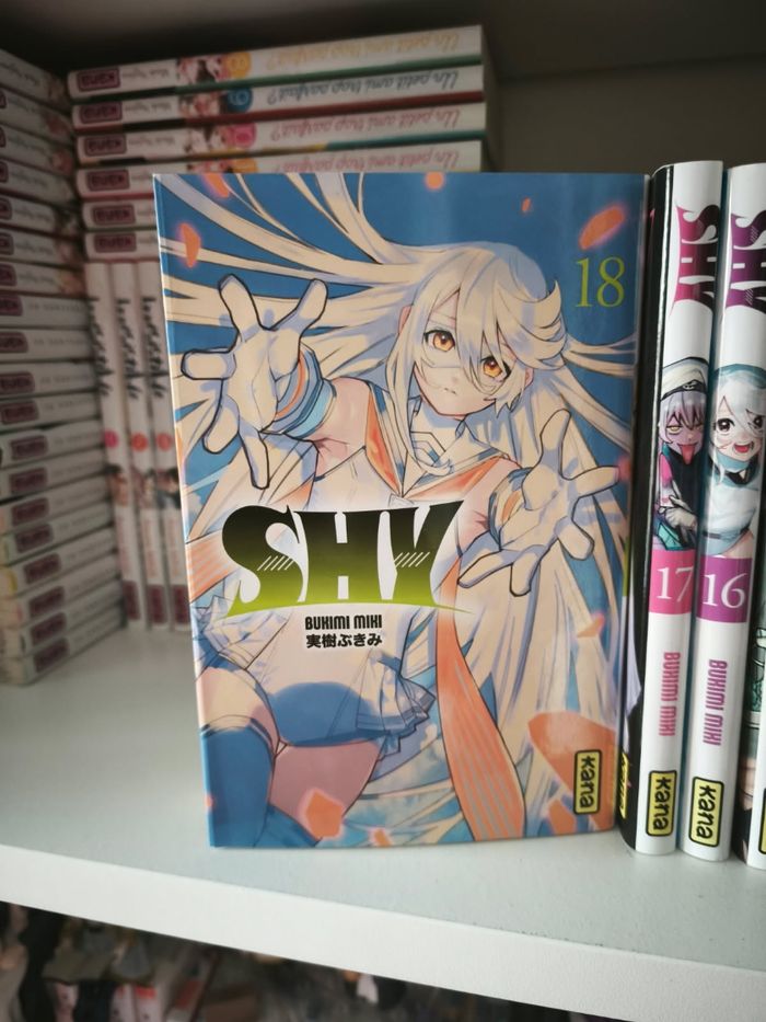 Shy 1-18 - photo numéro 2