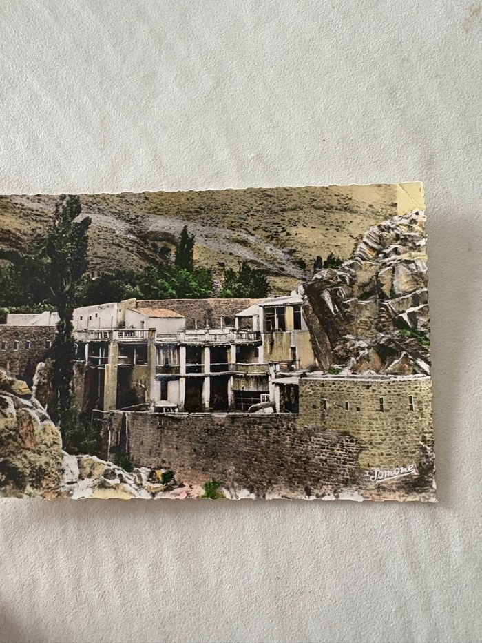 Carte postale vintage Alger - photo numéro 4