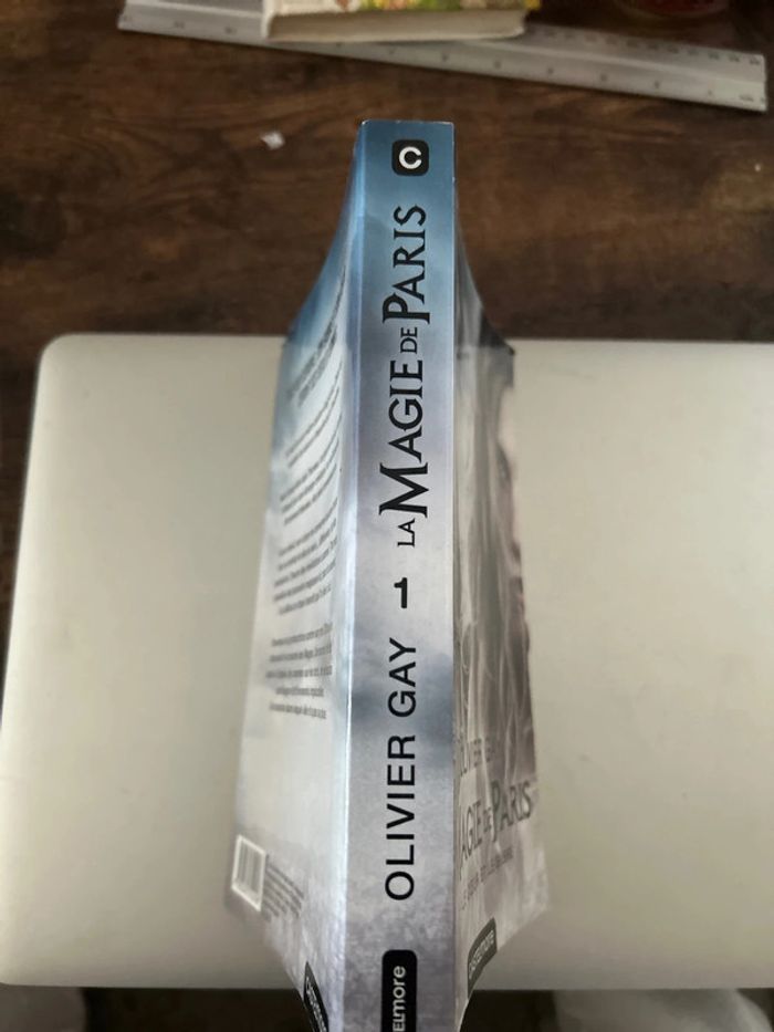 la magie de Paris - photo numéro 3