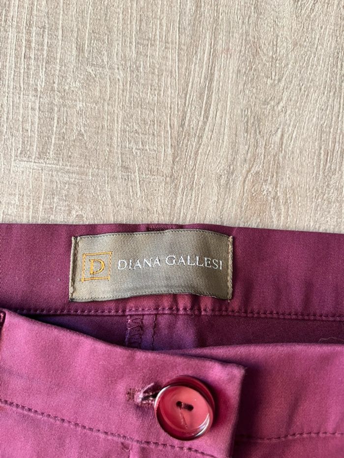 Pantalon violet chic femme Diana Gallesi - photo numéro 3