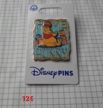 Pins Disney winnie