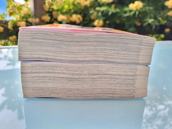 2 Mangas Pokémon : La Grande Aventure volumes 1 et 2, Kurokawa (28) - photo numéro 9