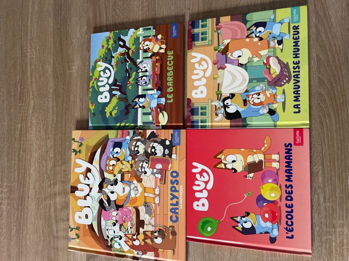 Lot livres bluey
