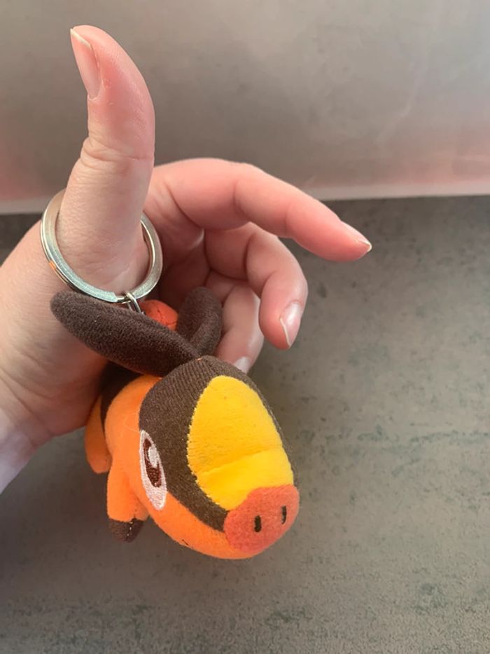 Porte clé pokemon