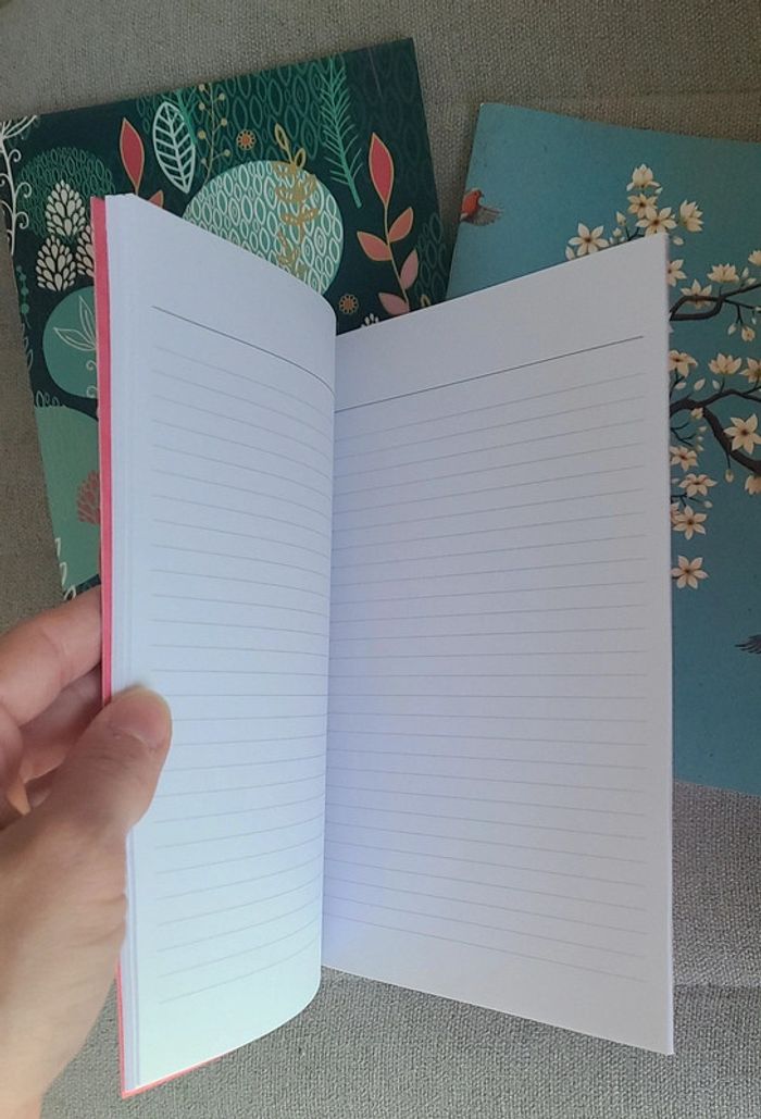 3 carnets lignés Neuf - photo numéro 2