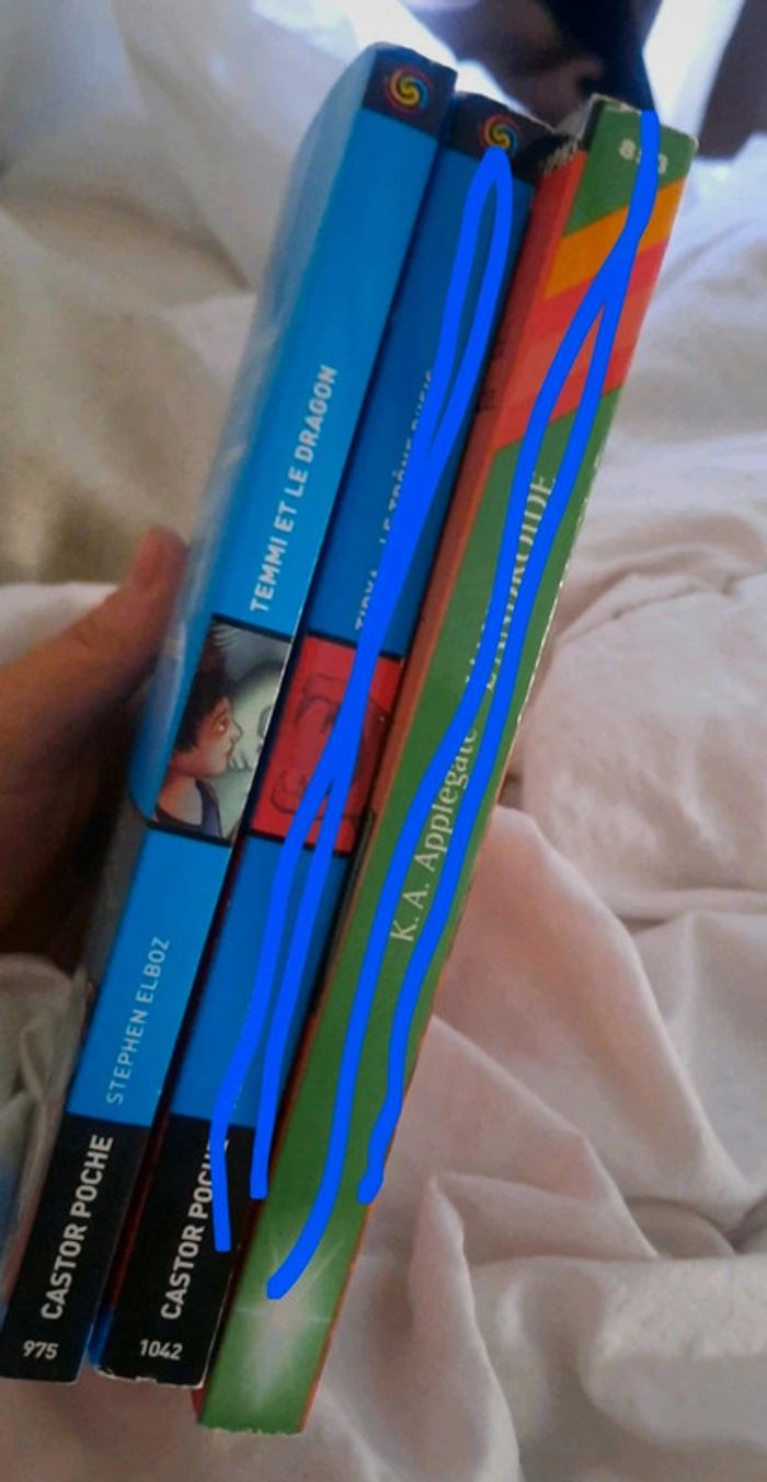 Livre castor flammarion 11ans - photo numéro 3