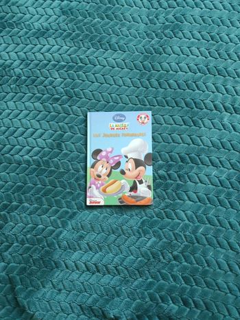Livre Disney la maison de Mickey