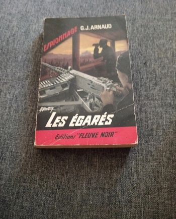 Livre Les Égarés