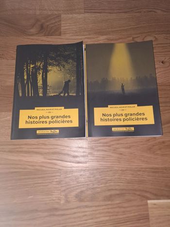 Lot de Nos plus grandes histoires policières