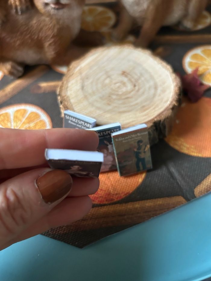 Lot de livres  miniatures pour maison de poupée - photo numéro 9