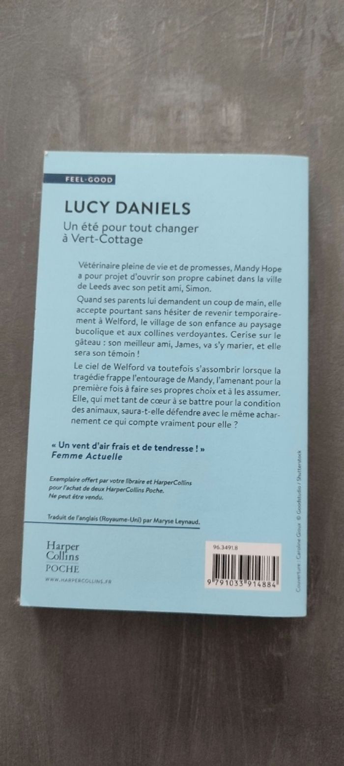 Livre un été pour tout changer à Vert-Cottage - photo numéro 3