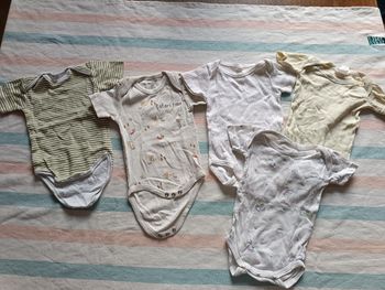 Lot 5 body manches courtes 3 mois