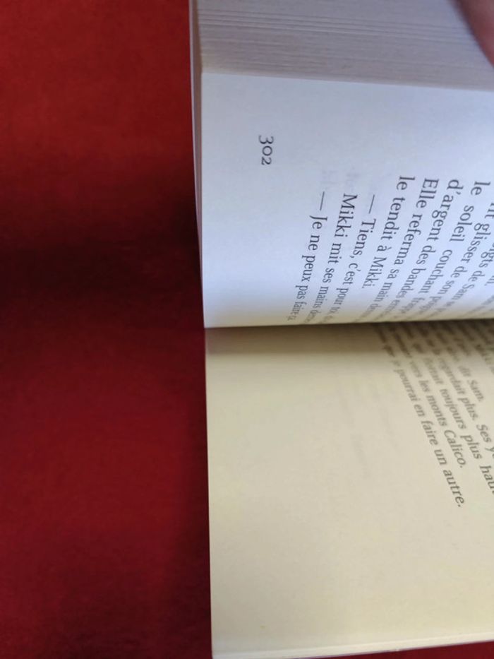 Cheval fantôme Tome 3 " Une jument dans les flammes " Terri Farley - photo numéro 11