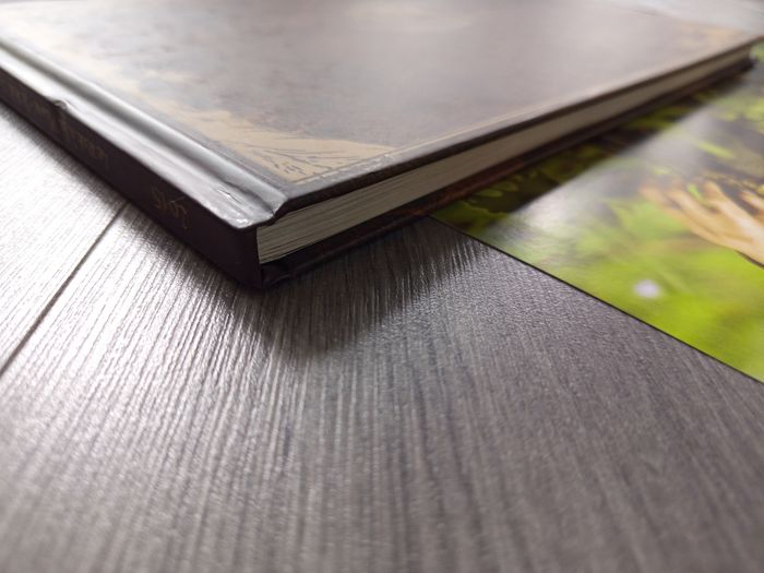 Le rat à la plume - le rat conteur d'histoires 2015 - photo numéro 5