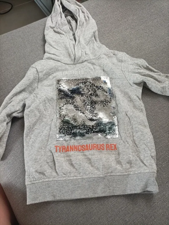 Sweat à capuche