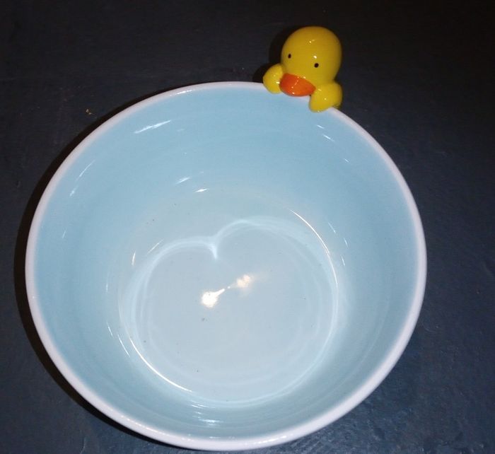 Gros bol canard - photo numéro 2