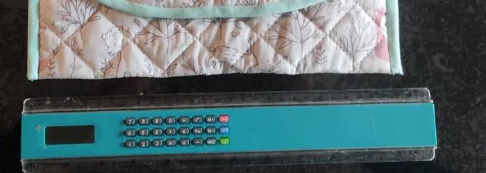 pochette protege carnet de santé - photo numéro 4