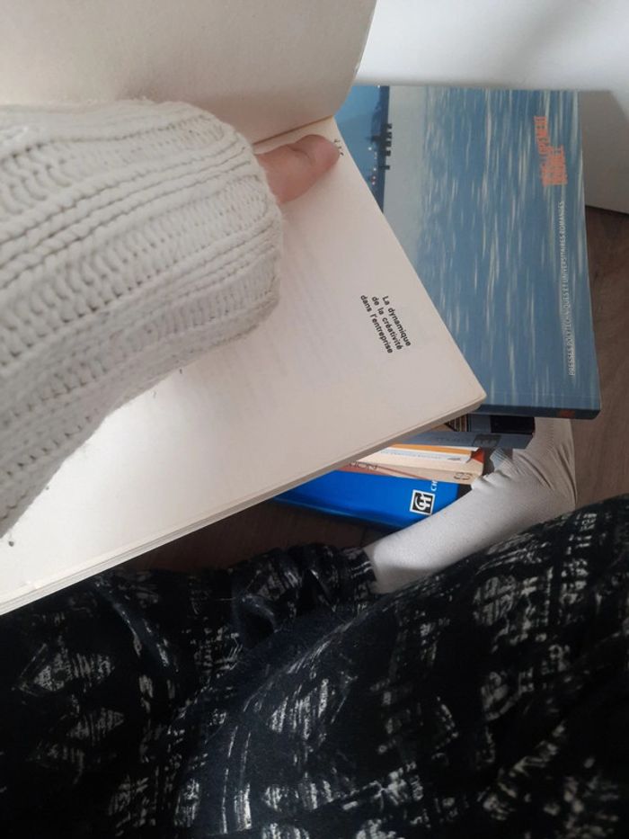 Livre d'une entreprise p m - photo numéro 7