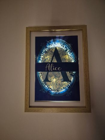 Cadre fleuri personnalisé avec ou sans led 