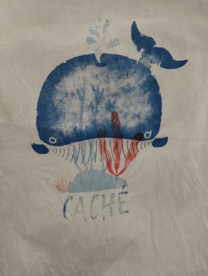 Ensemble été cachalot - photo numéro 2