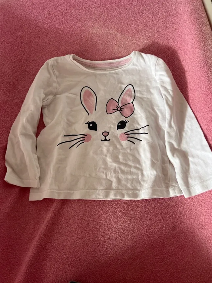 Lot de 10 tshirts à manches longues taille 18 mois - photo numéro 8