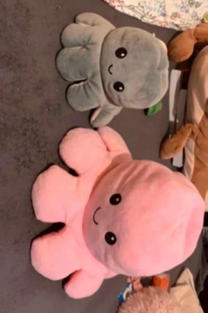 Peluche - photo numéro 2