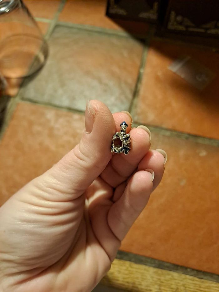 Accessoire - photo numéro 6