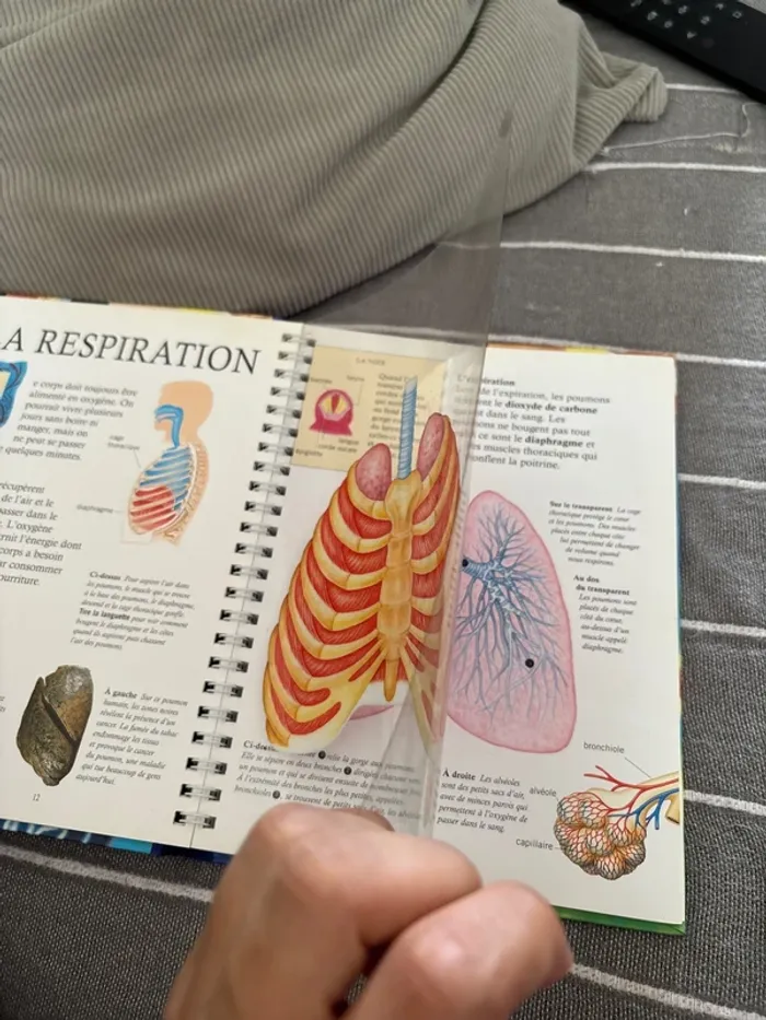 Livre le corps humain une formidable machine - photo numéro 3