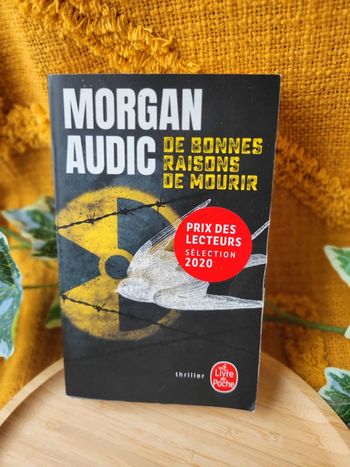 Livre "De bonnes raisons de Mourir" de Morgan Audic