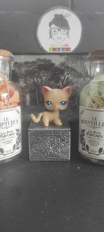 Littlest Petshop Pet Shop LPS Authentic  Authentique cat Shorthair European 228