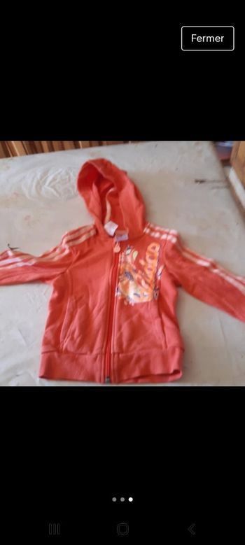 Veste