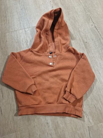 Pull à Capuche