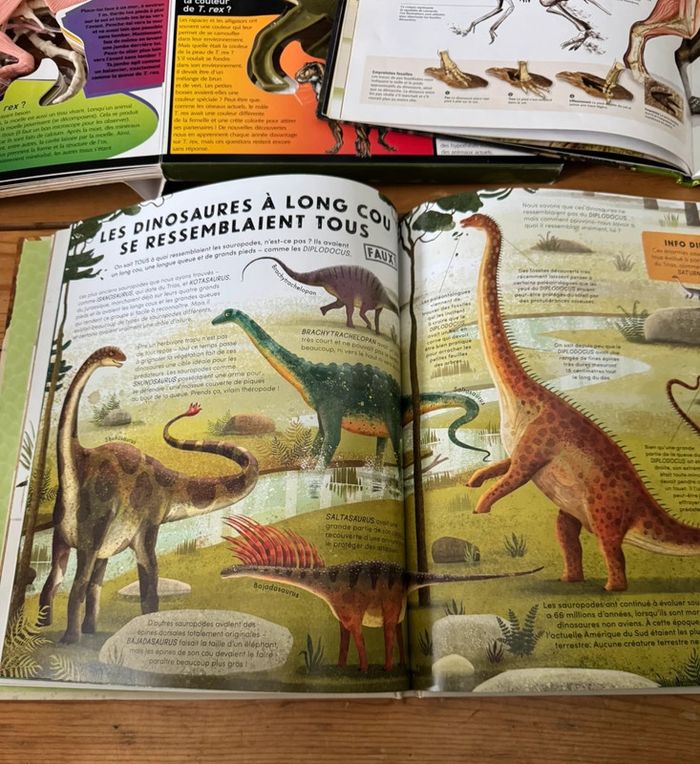 Lot livres sur les dinosaures 🦖 - photo numéro 3