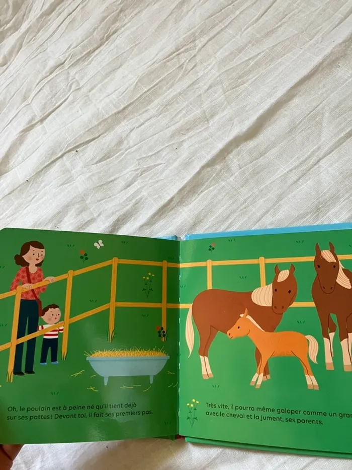 Livre enfant – Les bébés animaux (édition Milan, Les tout premiers docs) - photo numéro 6