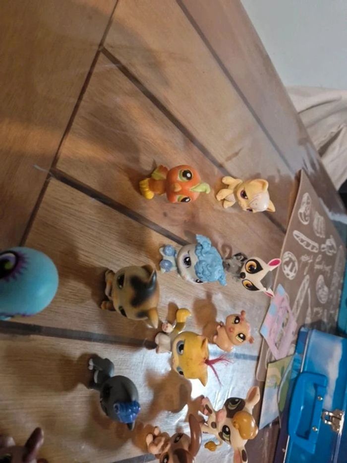 Lot petshop - photo numéro 5