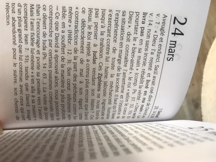 Chaque jour les écritures - photo numéro 6