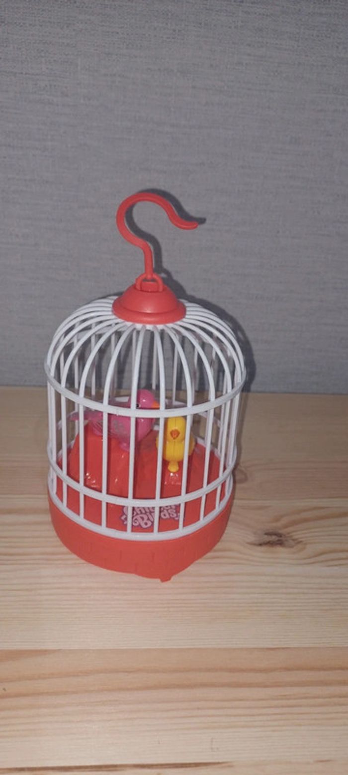 Oiseaux