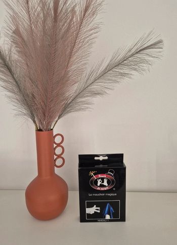 Jeu de magie : le mouchoir magique
