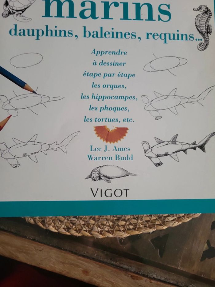 50 dessins d animaux  marins - photo numéro 3