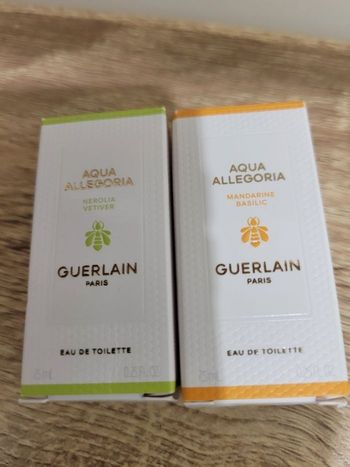 Lot mini Aqua allegoria