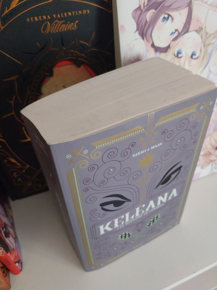 Roman Keleana tome 7 Le Royaume de Cendres- Sarah J. Maas La Martinière - photo numéro 5
