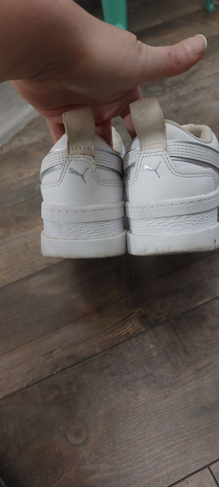 Puma 36 - photo numéro 3