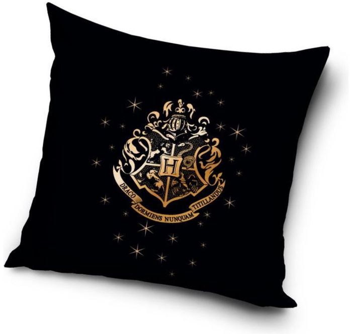 COUSSIN HARRY POTTER 40x40CM - NEUF