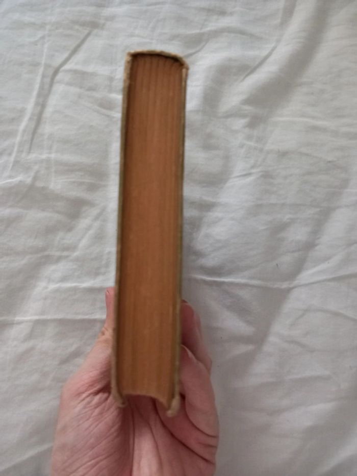 Reine en sabots - photo numéro 6