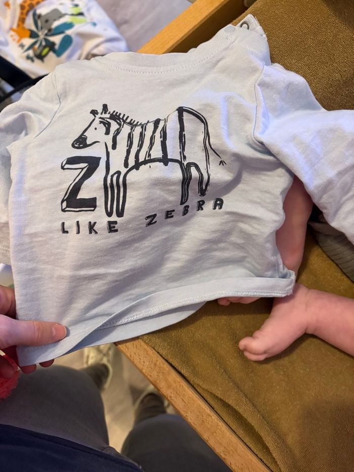 Pull zèbre - photo numéro 2