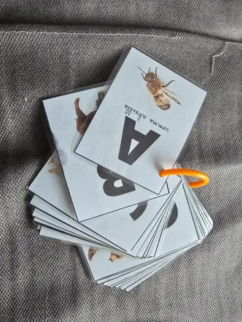 abécédaire animaux réaliste