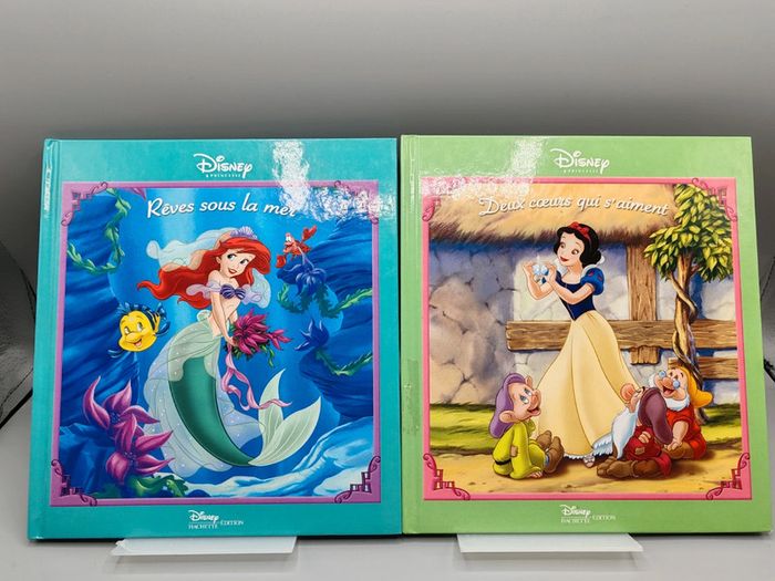 2 livres Disney princesses