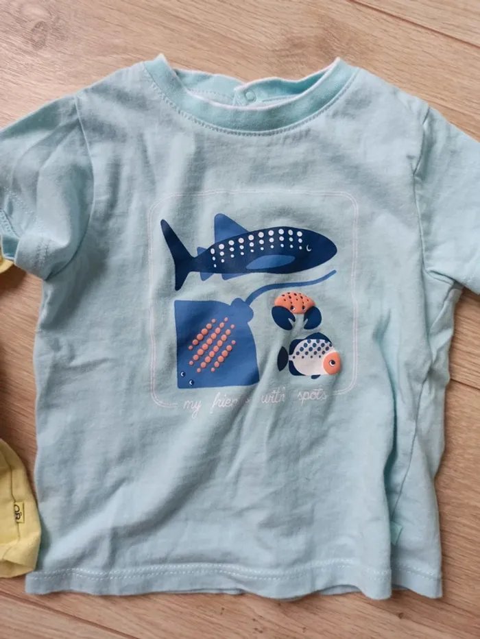 Lot 3 t-shirt - photo numéro 5