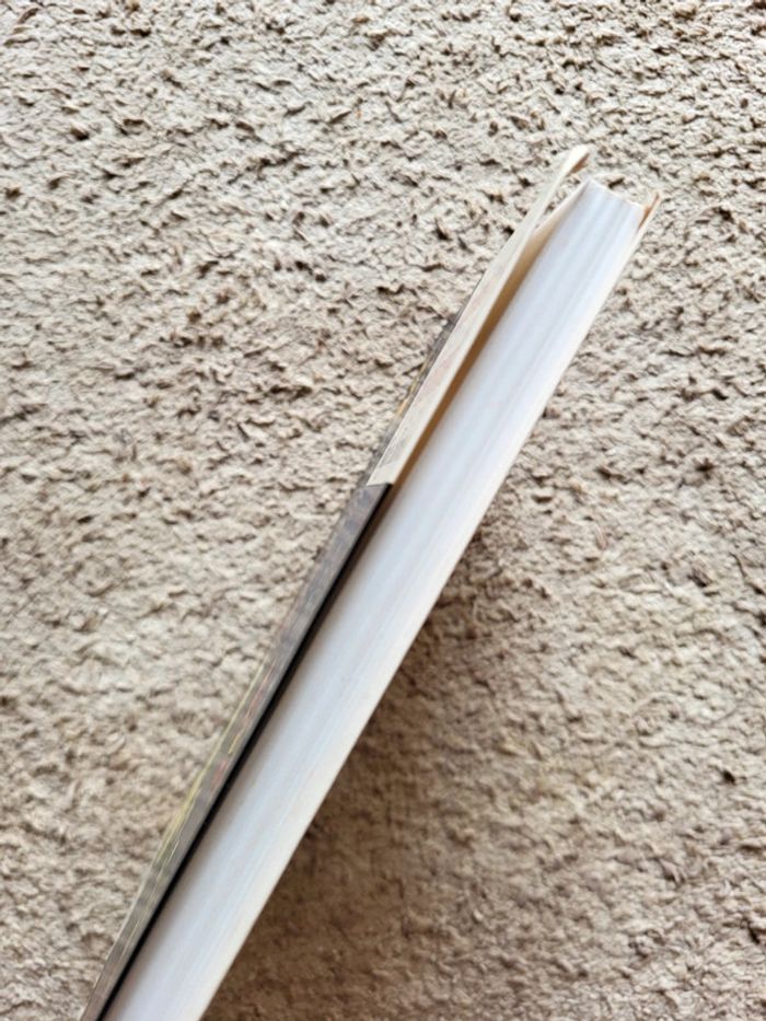 Livre La menace de Vylchymyk de Philippe Barbeau – Collection Les Fantastiques - photo numéro 3